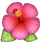 emoji214.jpg